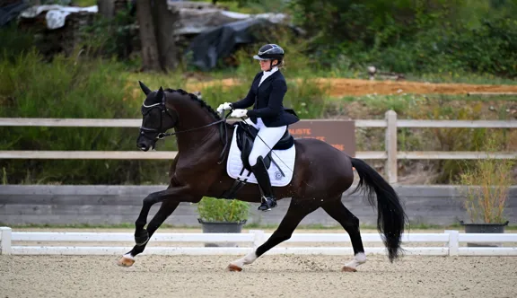 Descendant direct de Queenparks Wendy*de Fontaine, partenaire de proue de l’Allemande Isabell Werth, Samson de Fontaine semble bien parti pour marcher dans les pas de sa mère.