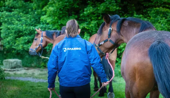 La voie d’excellence pour vivre sa passion du cheval
