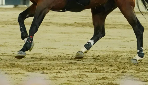 La FEI assure prendre cette affaire très au sérieux.