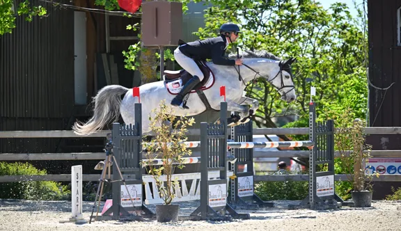 Créditée d’un taux de sans-faute de 100 % à quatre ans et 94,74 % à cinq ans, Aloha Cak fait partie des juments les plus régulières de sa génération