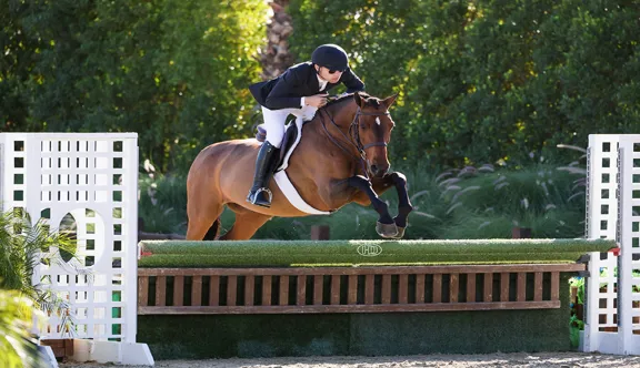 Karl Cook s'est essayé pour la première fois au hunter et a remporté la phase d'obstacle sur le jeune Chamonix.
