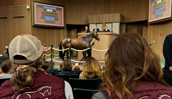 En Normandie, UniLaSalle Rouen propose le MS® MESB, une formation d’excellence en douze mois pour former les futurs managers et décideurs de la filière équine.