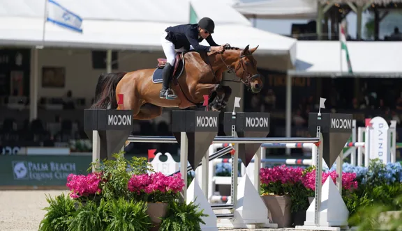 Caracole de la Roque a gagné une épreuve à 1,45m à Wellington le week-end passé