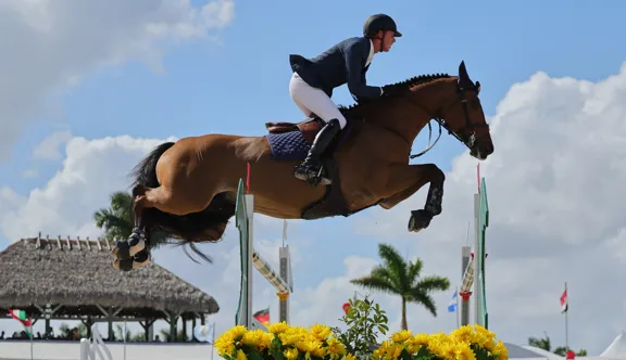 Ben Maher et Enjeu de Grisien se sont imposés à Wellington hier