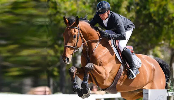 Julien Épaillard et Hard’Rock Queen HJD ont été les meilleurs, hier à Oliva