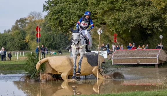 S’il n’a pas formé ses deux chevaux de tête, Alexis Goury s’attèle à construire la carrière de plusieurs jeunes chevaux, dont Indoor Moussardière, ici au Mondial du Lion en 2025.