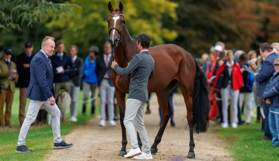 Le TAS n’a pas remis en cause le pouvoir décisionnel final de la FEI de prolonger ou de renouveler ses protocoles d’entente avec les parties prenantes du sport.