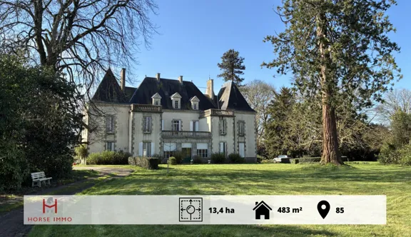 Horse Immo propose un domaine d’exception avec château rénové et gîtes, au cœur d’un environnement naturel préservé.