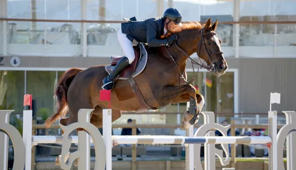 Cet après-midi dans le Var, Easy Up de Grandry et Julien Épaillard ont remporté la qualificative à 1,45m du CSI 2* de Gassin, signant le plus rapide des dix-huit sans-faute.