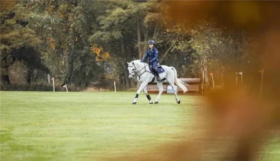 Alimentation, entraînement et récupération : lors d’un webinaire Cavalor, les experts Thibault Frippiat et François Defraumont ont décrypté les clés de la performance du cheval de sport.