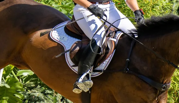 “La cravache est l’un des outils les plus visibles, et immédiatement sujet à interprétation, que nous utilisons”, estime Matt Brown.