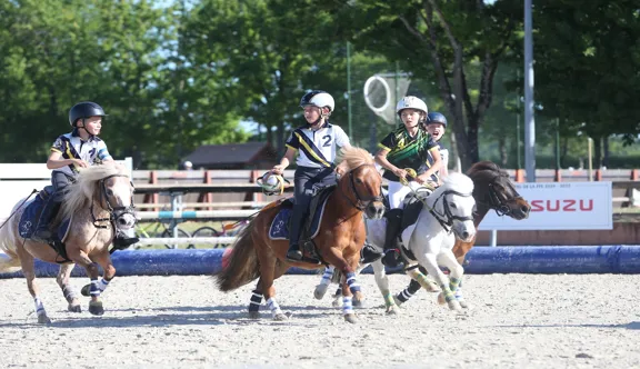  Le Grand Tournoi se déroulera du 15 au 17 mai prochain au Parc équestre fédéral.