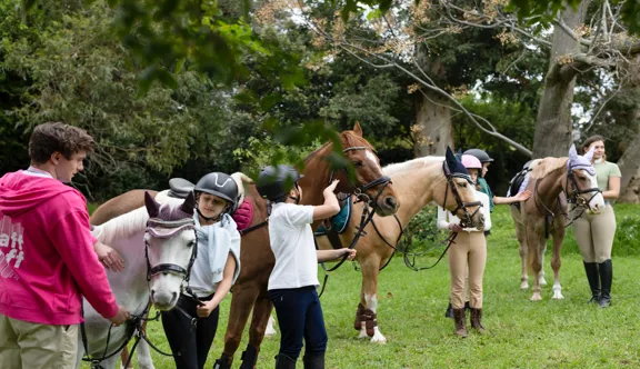 Séjour linguistique en camps d’équitation