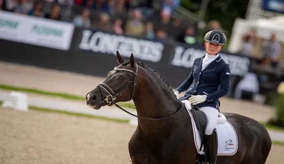 Ici sous la selle de la Suédoise Jessica Lynn Thomas, Secret s’impose comme l’un des reproducteurs les plus prometteurs dans l’élevage de chevaux de dressage.