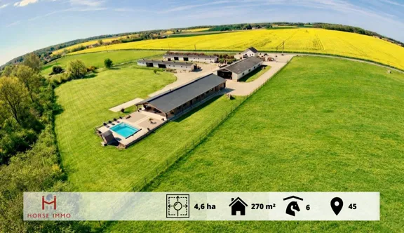 À quarante minutes de Fontainebleau, cette propriété de 4,6 hectares au calme offre un fort potentiel pour des projets équestres, événementiels ou professionnels.