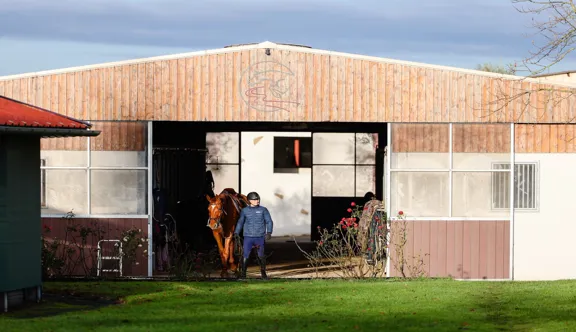 Depuis trente ans, Mickaël Varliaud développe à Alloué un modèle intégrant élevage, valorisation et commercialisation de chevaux de sport.