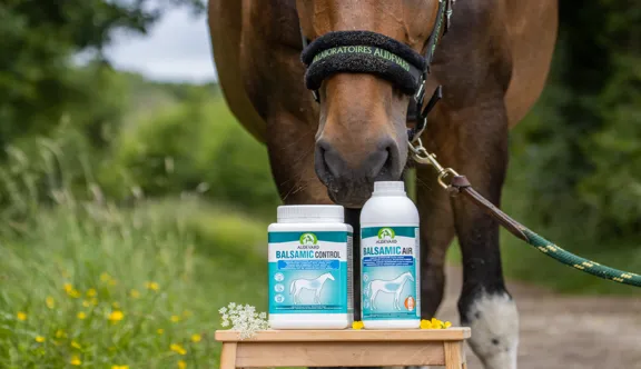Cinq faits méconnus pour mieux comprendre la respiration du cheval.