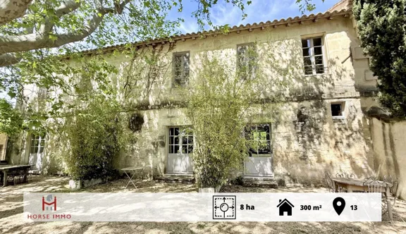 Ancien domaine viticole de 8 hectares en Camargue, à 5 minutes d’Arles, dans un cadre exceptionnel dominé par l’Abbaye de Montmajour.