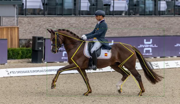 Identification automatique, par le logiciel d’IA de l’IFCE et de l’École française d’électronique et d’informatique, des principaux segments anatomiques d’un cheval sur une image. De tels outils faciliteront la caractérisation des animaux, utile à la recherche, à la sélection et aux éleveurs pour leurs croisements.