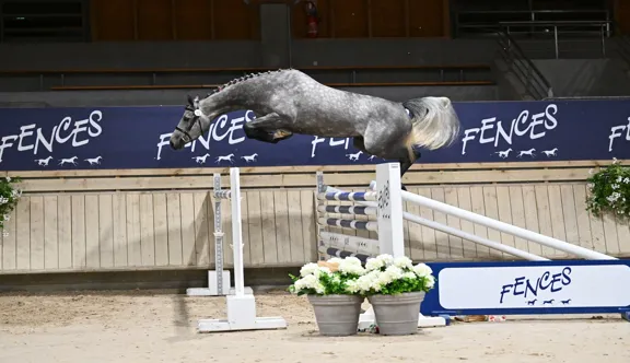 Savona van de Hagenhorst, top price de cette 5e édition, adjugée 52 000€