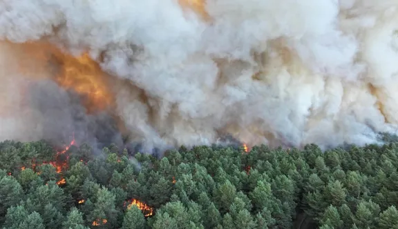 Plusieurs incendies ravagent actuellement la forêt de Fontainebleau