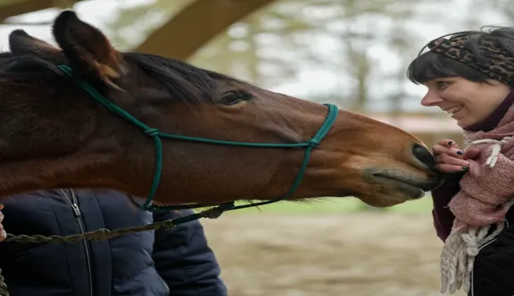  Dernière chance de participer à la loterie EquiAction (jusqu'au 27 juillet), qui finance des séances de médiation équine pour les personnes touchées par le cancer. De nombreux lots sont à gagner, dont un van, une selle CWD ou une voiture.
