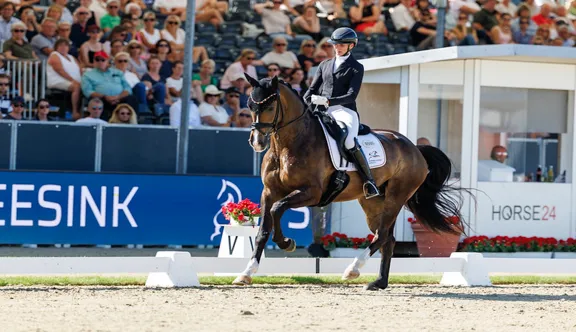 Monté par Kira Laura Soddemann, Einfach Imposant B a été sacré champion du monde des cinq ans à Verden.