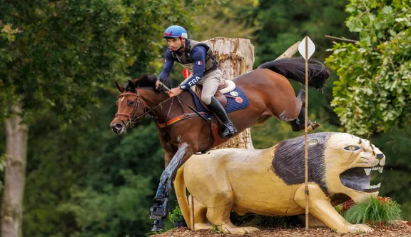 Troisième du Mondial du Lion à sept ans en 2023 avec le Tricolore Astier Nicolas, Gravure de la Mouline est le cheval issu du haras de la Mouline à avoir obtenu le meilleur indice de performance.