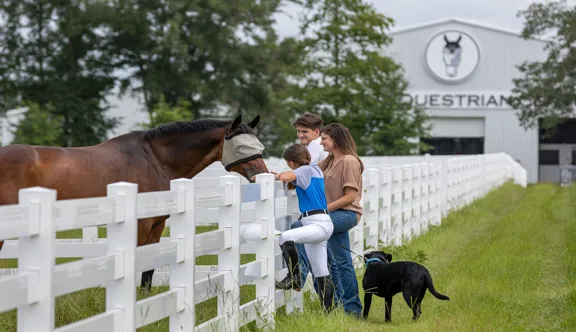Au World Equestrian Center d’Ocala, plusieurs dizaines de paddocks sont mis à disposition pour les chevaux participant aux concours internationaux.