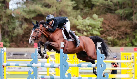 Ici dans la Chasse, Jalisco de Coquerie est en tête du championnat de France des chevaux de sept ans.