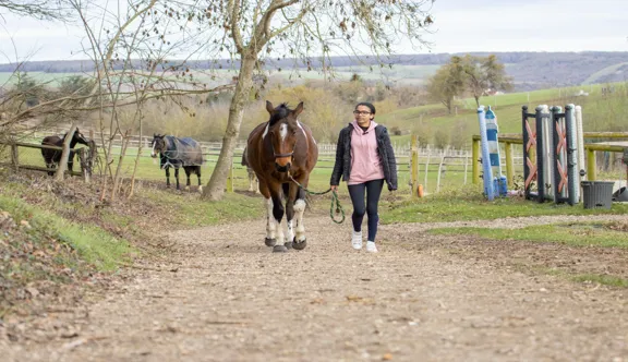Les Laboratoires Audevard proposent une évaluation santé gratuite en ligne pour aider les cavaliers à repérer les signes discrets de problèmes locomoteurs, digestifs ou respiratoires chez leur cheval.