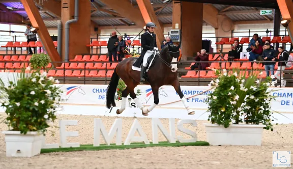 Le Pôle Européen du Cheval propose une fin d'année 2026 riche en événements équestres