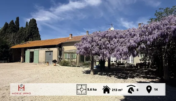 Propriété polyvalente dans les Alpilles alliant habitation, dépendances agricoles et installations équestres complètes sur des terres irriguées.