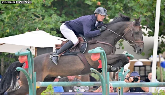 Fellini de la Cense, qu’il monte depuis 2024, permet à Patrice Delaveau de participer à des épreuves à 1,50m. 