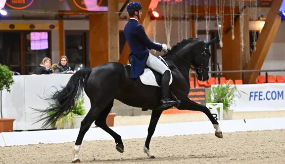 Daenerys a été sacrée championne de France des chevaux de sept ans