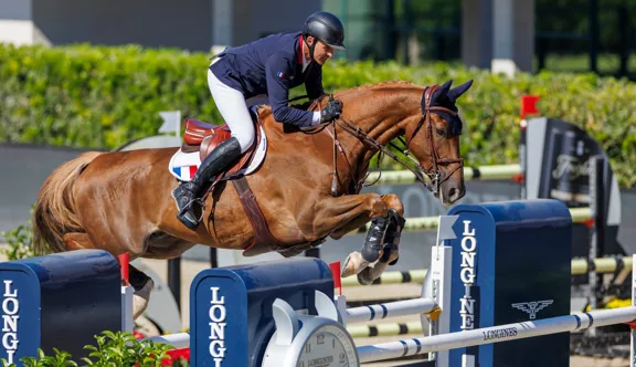 En 2023, François-Xavier Boudant et Brazyl du Mezel avaient notamment remporté la Grand Prix du CSIO 5* de Dublin, avant de terminer deuxième de la finale des Coupes des nations de Barcelone avec l'équipe de France.