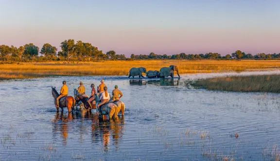 Ici, au Botswana, les safaris à cheval de Cheval d’Aventure permettent d’approcher la faune sauvage directement depuis la selle.