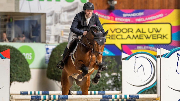 Vermeiren Gert, BEL, Thor T BWP Hengstenkeuring - Lier