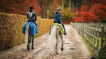 Optimisez la santé de votre cheval en hiver : un webinaire gratuit avec Marie-Céline Hottat, experte en nutrition Cavalor