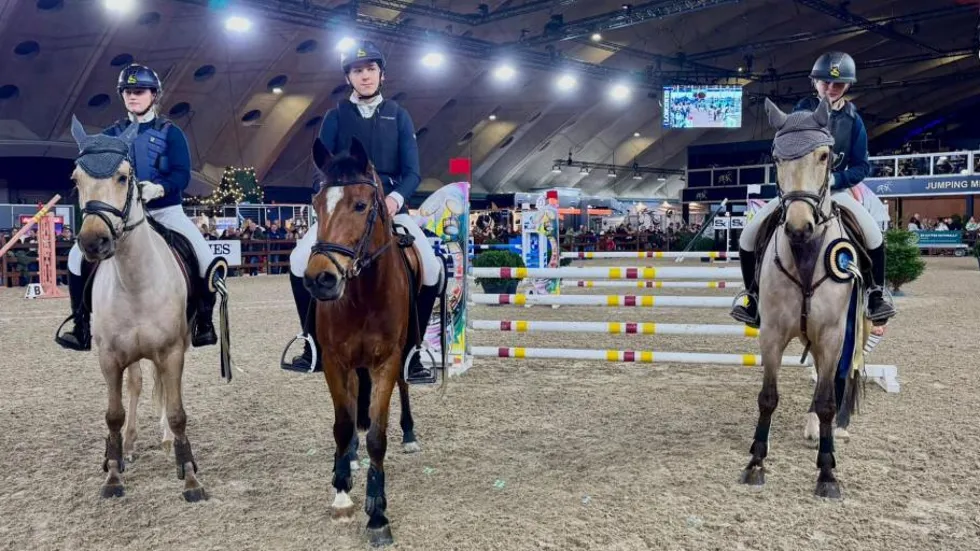 Winnende team Grote Maat