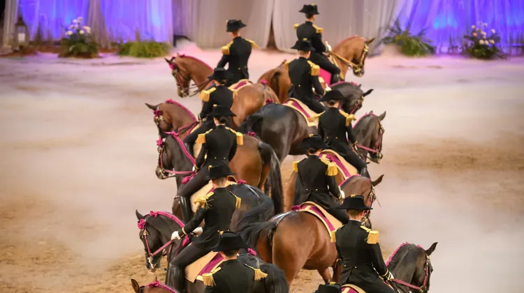 Le Cadre noir de Saumur s’exporte à travers le monde pour diverses représentations.