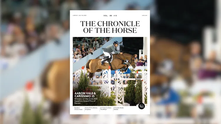 The Chronicle of the Horse