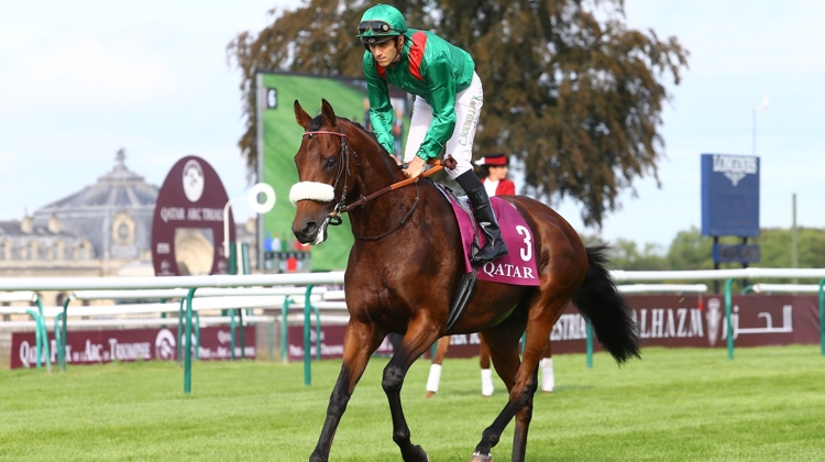 Ici sous la selle de la star Christophe Soumillon, Zarak, jeune vedette de l’élevage français ne´ pour le compte de l’Aga Khan IV, est l’étalon de sa génération présentant les meilleures statistiques en Europe. Son prix de saillie a été multiplie´ par sept en quatre ans. 