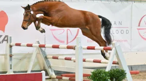 Aftellen naar de eerste oefennamiddag