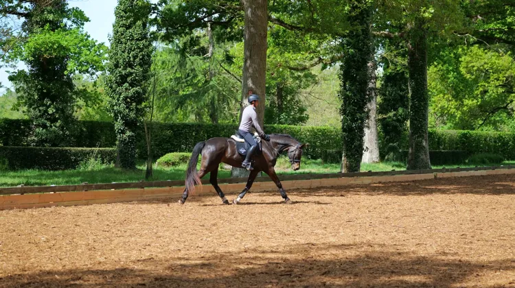 Gireg Le Coz, ancien cavalier, teste la nouvelle carrière 100% bois du parc départemental de l'Isle Briand