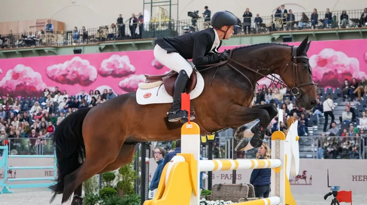 Mathieu Guéry et Time-Breaker S Z lors du Saut Hermès le 19 mars dernier