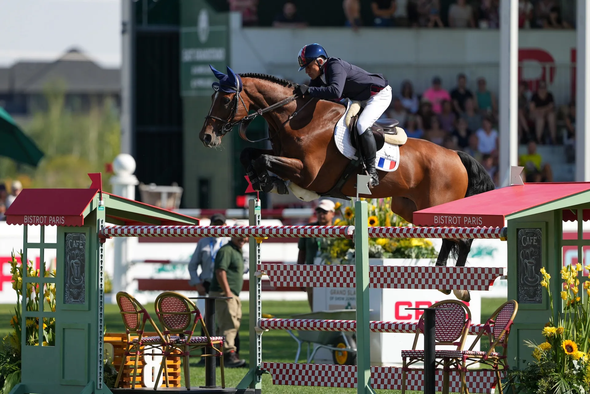 Olivier Robert en selle sur Iglesias D.V en coupe des Nations à Calgary l’an passé 