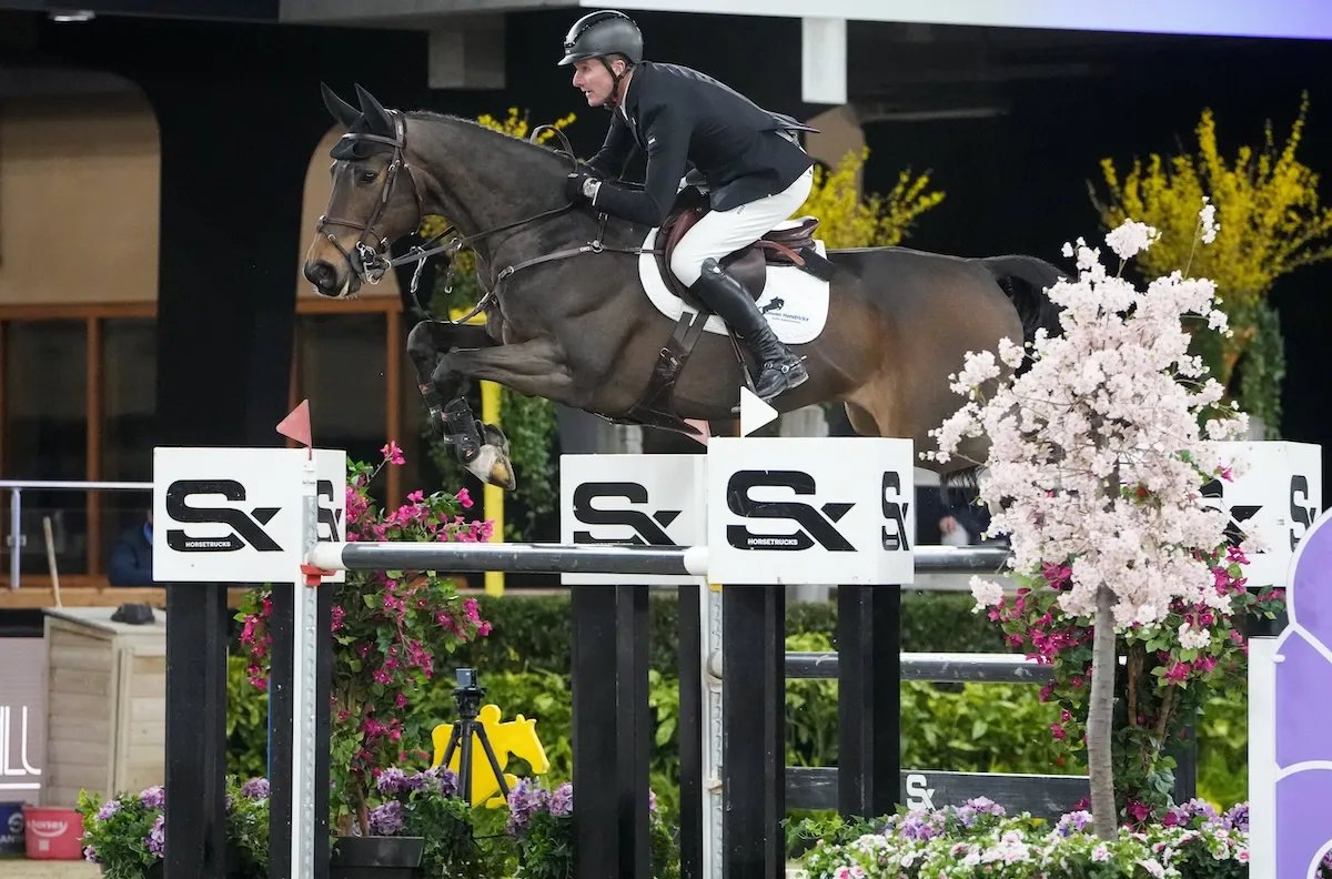 Autrefois monté par Martin Fuchs, Commissar Pezi est aujourd'hui monté par le Néerlandais.