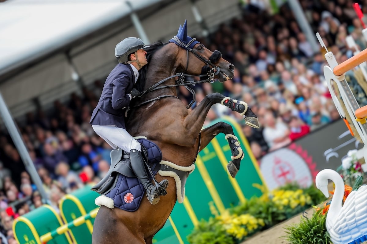 Simon Delestre préparera La Corogne avec Cayman Jolly Jumper, au repos depuis ses victoires à Bois-le-Duc et au Saut Hermès, lors des CSI 5* de Cannes et Ramatuelle.