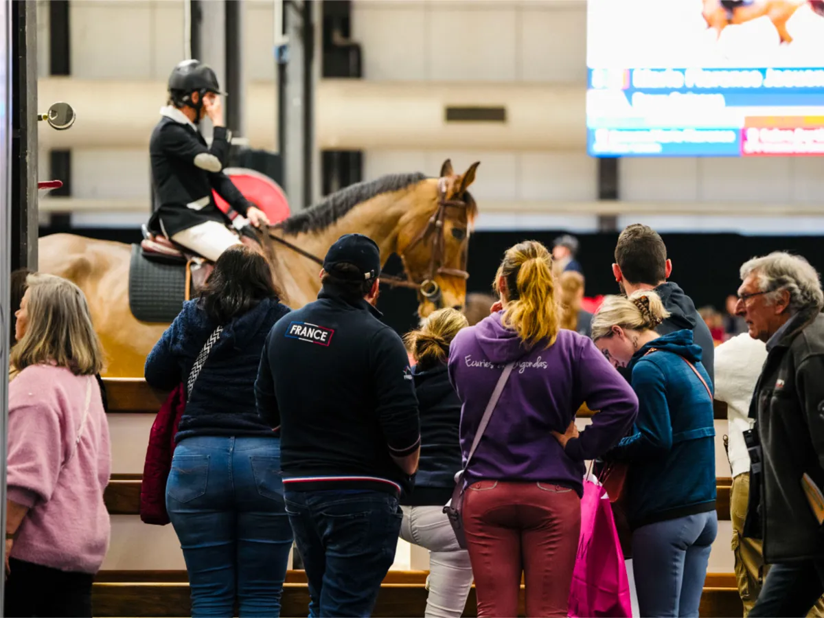 Le Salon du cheval de Bordeaux ouvrira ses portes du jeudi au dimanche.